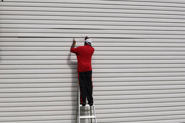 Best Brick Veneer Siding  in Bourg, LA