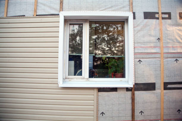Best Residential Vinyl Siding Installation  in Bourg, LA
