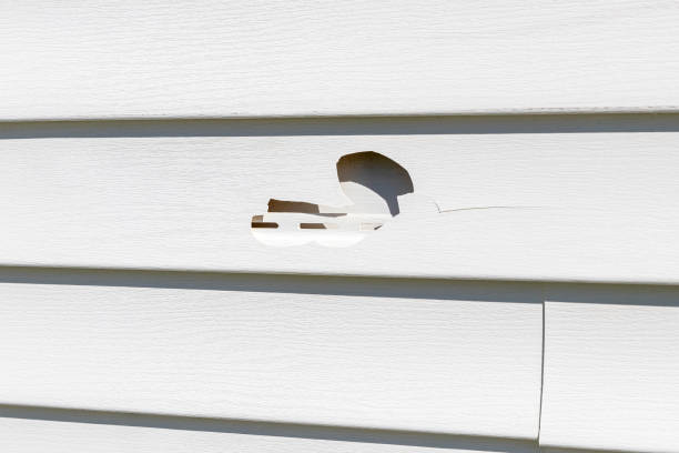 Siding for Commercial Buildings in Bourg, LA
