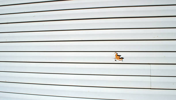 Bourg, LA Siding Installation & Repair Company