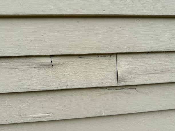 Best Fascia and Soffit Installation  in Bourg, LA